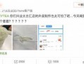 喜茶最新爆料新闻视频,独家爆料视频曝光最新饮品与门店设计